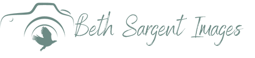 Beth Sargent - Artist Website